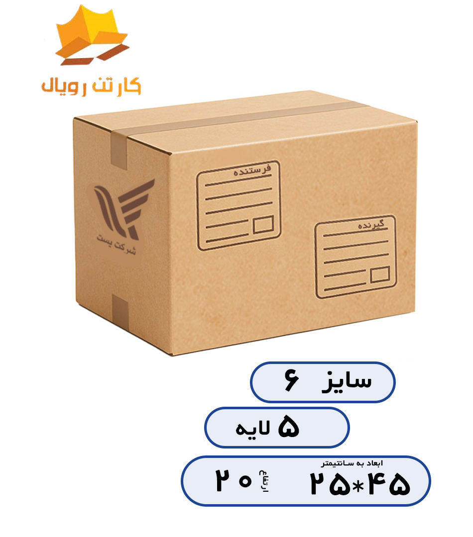 کارتن سایز6 